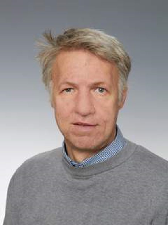 Projektbetreuer
